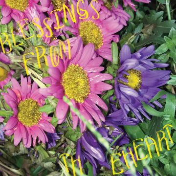 OTHER JOE - BLESSINGS FROM THE HEART