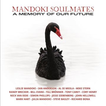 MANDOKI SOULMATES - MEMORY OF OUR FUTURE