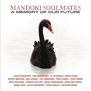 MANDOKI SOULMATES - MEMORY OF OUR FUTURE