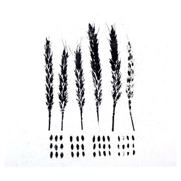 LO! - GLEANERS