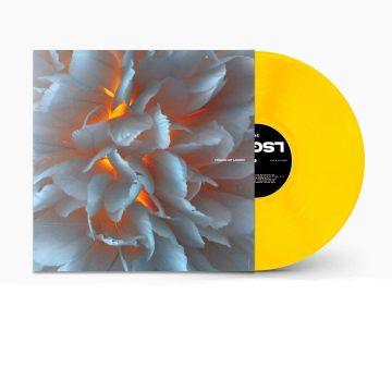 VARIOUS ARTISTS - HOUSE OF LSGRV: 2024 LOOSEGROOVE RECORDS COMPILATION (YELLOW GOLD