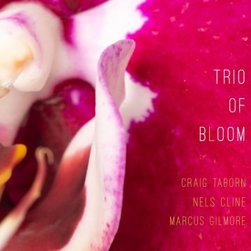 TRIO OF BLOOM - TRIO OF BLOOM