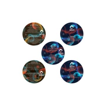 LOUIE VEGA & VARIOUS ARTISTS - VEGA RECORDS 5 PACK UNRELEASED VI (5-12 INCH)