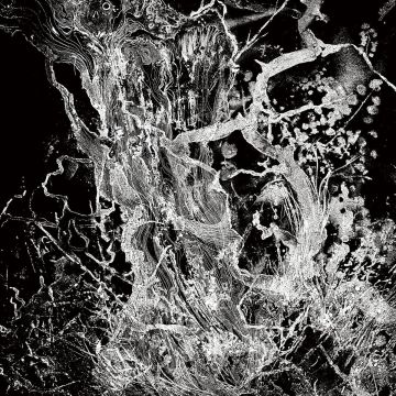 BRUIT - MONOLITH