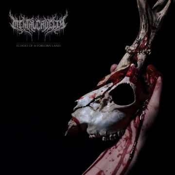 Mental Cruelty - Echoes Of A Forlorn Land - Translucent Red Colored Vinyl