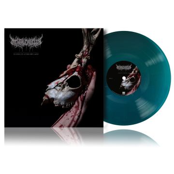 Mental Cruelty - Echoes Of A Forlorn Land