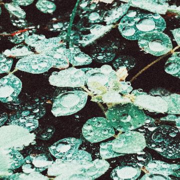 SADNESS - RAIN CHAMBER (GLOW IN THE DARK VINYL)