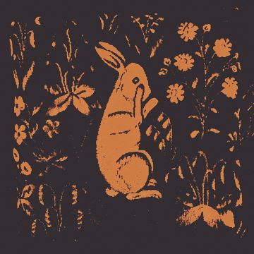 SADNESS - RABBIT ALBUM