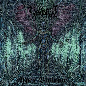 VALDRIN - APEX VIOLATOR (COLOURED VINYL)