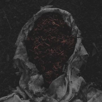 GORRCH - STILLAMENTUM