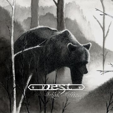 NEST - FABLED LORE/HIDDEN STREAM