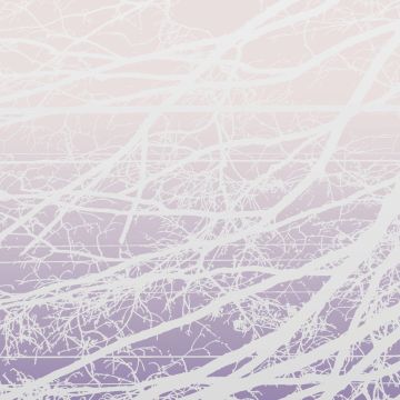 LEA BERTUCCI - METAL AETHER / RESONANT FIELD (2LP)