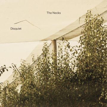 NECKS - DISQUIET
