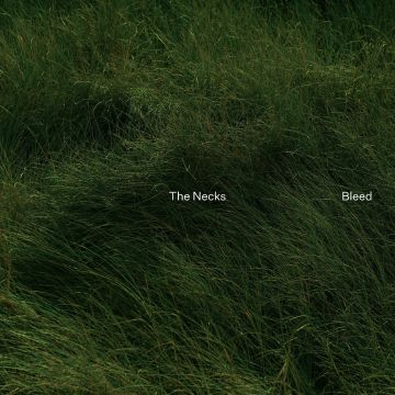 NECKS - BLEED