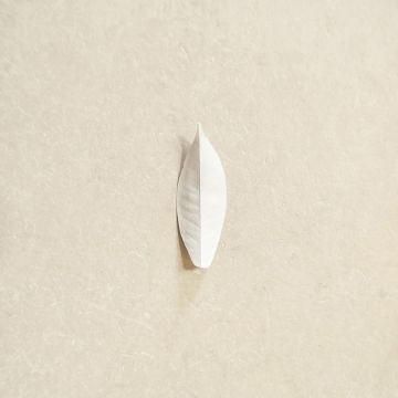 SYLVAIN CHAUVEAU - COMPLEXITY OF THE SIMPLE