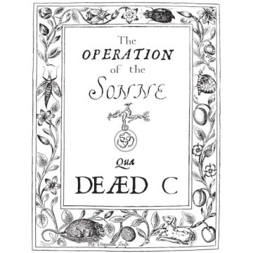 DEAD C - OPERATION OF THE SONNE