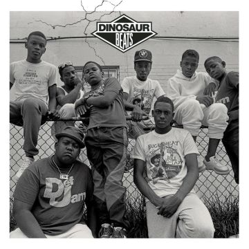 VARIOUS ARTISTS - DINOSAUR BEATS