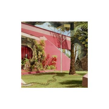 SUGAR CANDY MOUNTAIN - 666 (LIME VINYL)