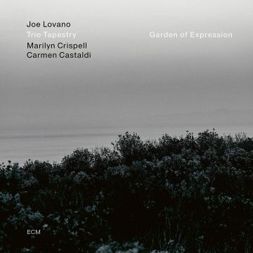 JOE; MARILYN CRISPELL; CARMEN CASTALDI LOVANO - GARDEN OF EXPRESSION