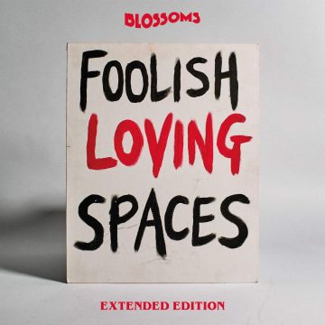 UNKNOWN - FOOLISH LOVING SPACES EXTENDED