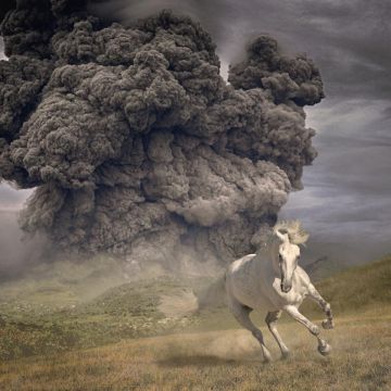WHITE BUFFALO - YEAR OF THE DARK HORSE