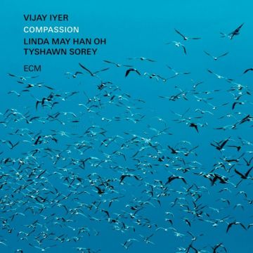 Vijay Iyer/Linda May Han Oh/Tyshawn Sorey - Linda May Han Oh/Tyshawn Sorey / Compassion