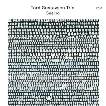 TORD TRIO GUSTAVSEN - SEEING
