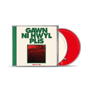 KINGS OF LEON - CAN WE PLEASE HAVE FUN