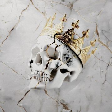 JELLY ROLL - BEAUTIFULLY BROKEN