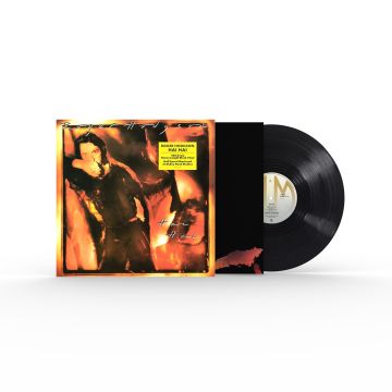 ROGER HODGSON - HAI HAI (180G HALF-SPEED)