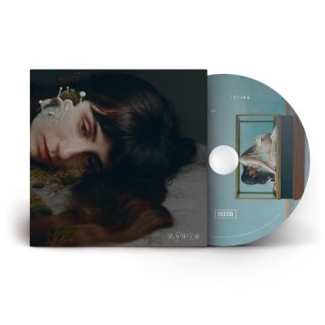 DODIE - NOT FOR LACK OF TRYING