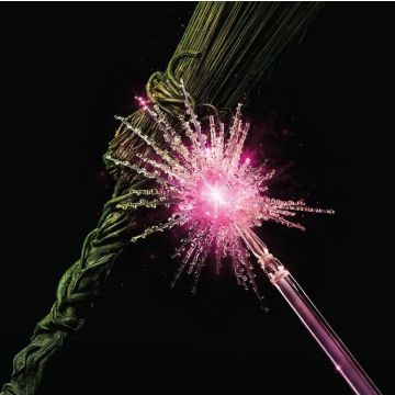 (BF25) (EU) WICKED FOR GOOD: THE SOUNDTRACK (PICTURE DISC/2LP/ALTERNATE COVER/NUMBERED) (RSD)