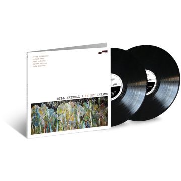 BILL FRISELL - IN MY DREAMS