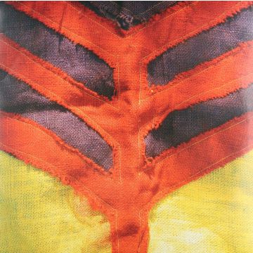 YEAH YEAH YEAHS - SHOW YOUR BONES