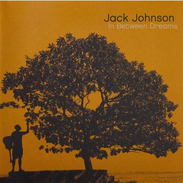 Jack Johnson - In Between Dreams