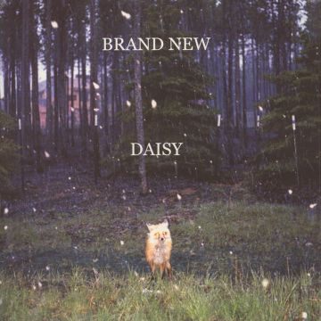 BRAND NEW - DAISY