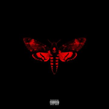 LIL WAYNE - I AM NOT A II(EX-DLX