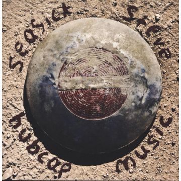 SEASICK STEVE - HUBCAP MUSIC