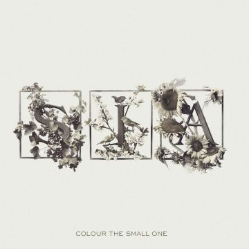 SIA - COLOUR THE SMALL ONE