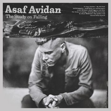ASAF AVIDAN - STUDY ON FALLING