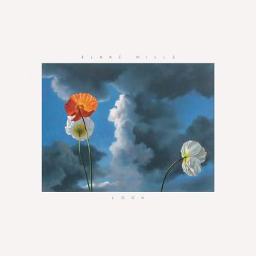 BLAKE MILLS - LOOK