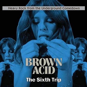 VARIOUS ARTISTS - BROWN ACID: THE SIXTH TRIP