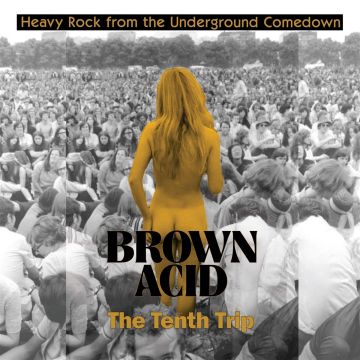 VARIOUS ARTISTS - BROWN ACID: THE TENTH TRIP