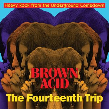 VARIOUS ARTISTS - BROWN ACID: THE FOURTEENTH TRIP