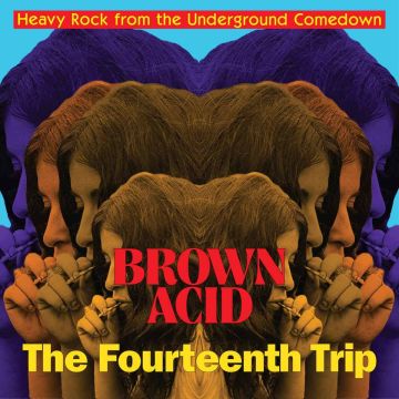 VARIOUS ARTISTS - BROWN ACID: THE FOURTEENTH TRIP