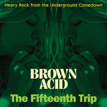 VARIOUS ARTISTS - BROWN ACID: THE FIFTEENTH TRIP