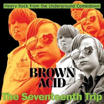 VARIOUS ARTISTS - BROWN ACID - THE SEVENTEENTH TRIP