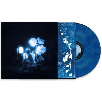 DREAM CREASE - BLUE HOUR IN THE LIVING ROOM (LIMITED/CYANOTYPE GALAXY (BLUE) VIN