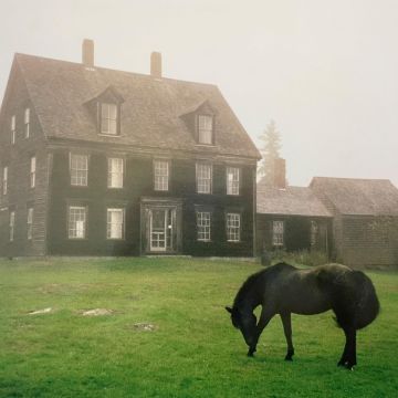 LUTALO - ACADEMY (MEADOW GREEN VINYL)