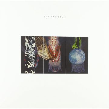 MCPHEE,JOE, JEN CLARE PAULSON; BRIAN LABYCZ - MYSTERY J